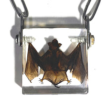 Load image into Gallery viewer, [Chiroptera] Bat Necklace- preorder
